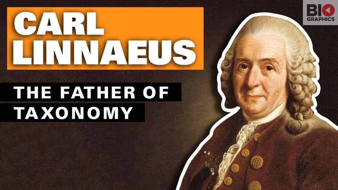 Carl Linnaeus: The Father of Taxonomy - YouTube